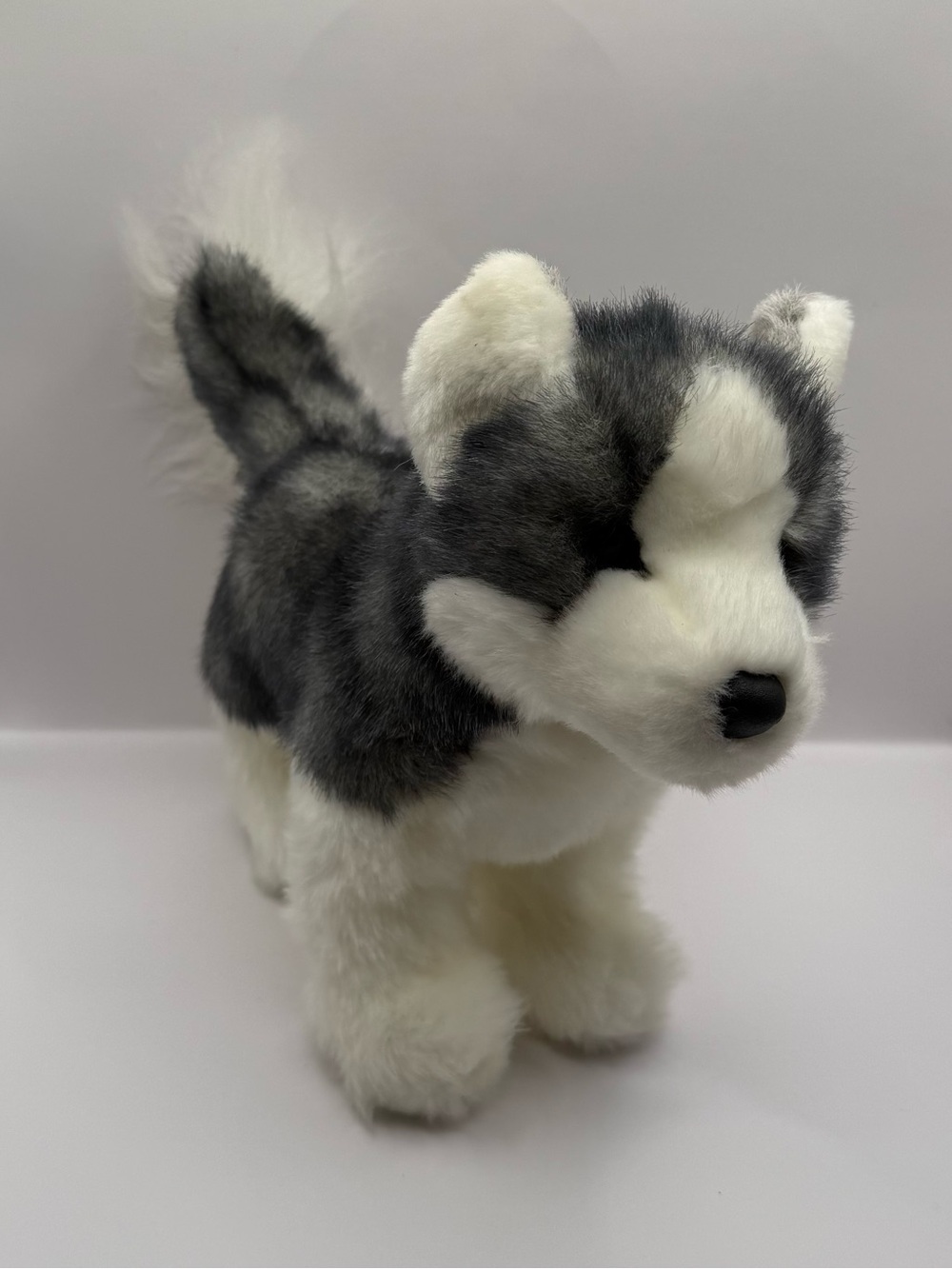 Douglas Cuddle Toy Realistic Husky Dog Plush Stuffed Animal Realistic